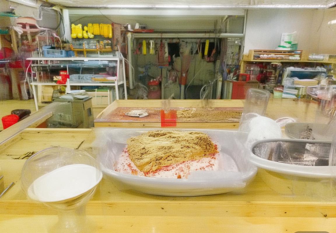 巴西VS厄瓜多尔：巅峰对决，实力与战术全面解析